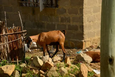 DSC_8111 (Large).JPG